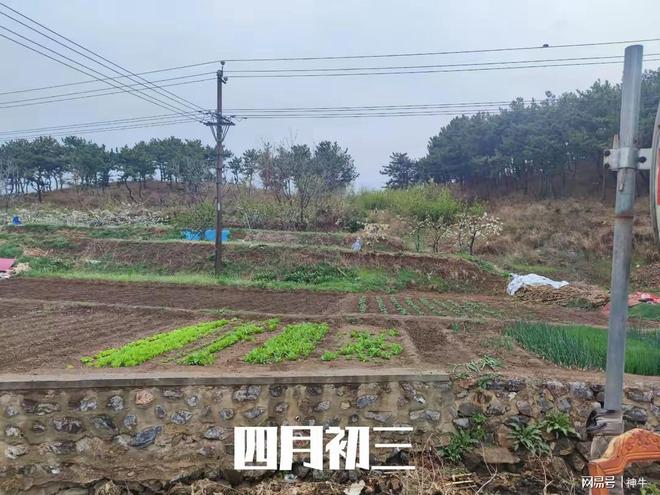蛇年蛇月蛇日蛇时相聚首4件大事别忘了做mg不朽情缘平台网站四月初三是“吉日”(图3)