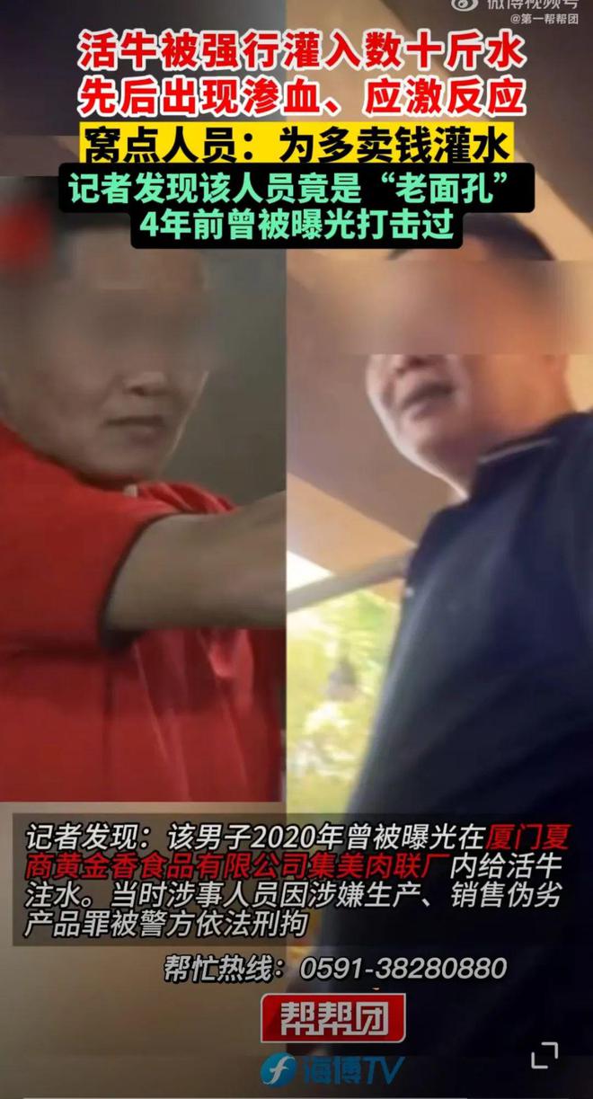 灌入数十斤水！多部分开展执法行动不朽情缘试玩版为多卖钱活牛被强行(图2)