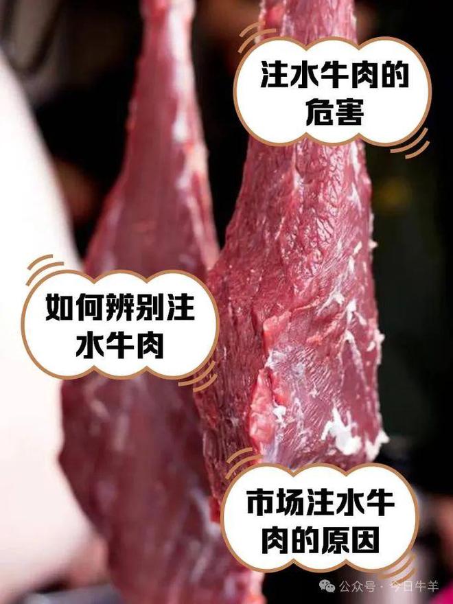 灌入数十斤水！多部分开展执法行动不朽情缘试玩版为多卖钱活牛被强行(图3)